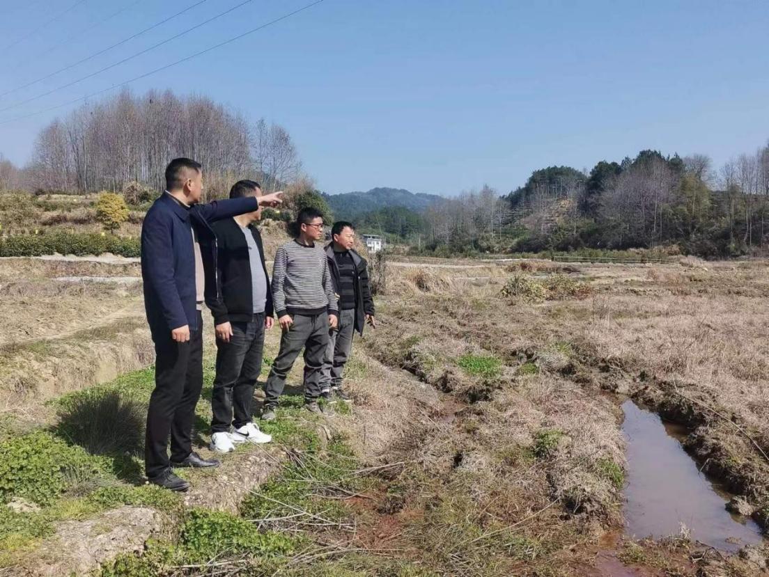 徽州区呈坎镇：“小田”变“大田”“粮田”变“良田”