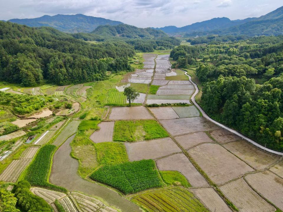 徽州区呈坎镇：“小田”变“大田”“粮田”变“良田”