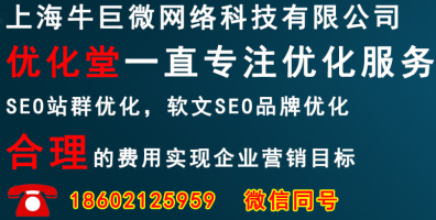 上海网络科技有限公司-牛巨微-值得信任的网站优化上海SEO公司