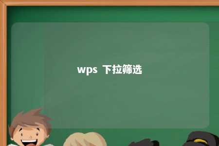 wps 下拉筛选 