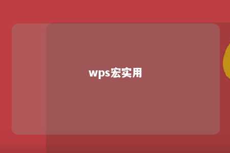 wps宏实用 