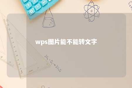 wps图片能不能转文字 