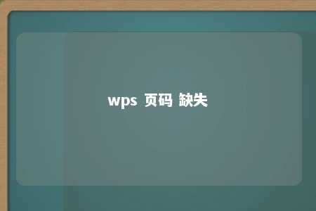 wps 页码 缺失 