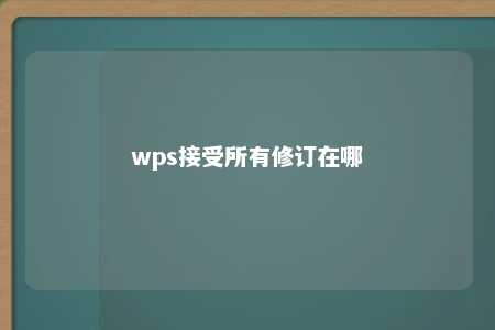 wps接受所有修订在哪 