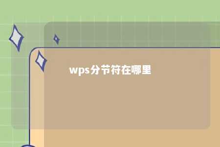 wps分节符在哪里