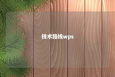 技术路线wps