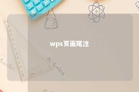 wps页面尾注 