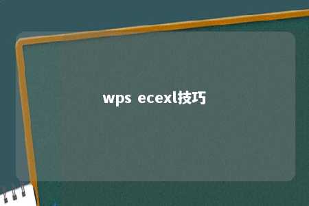 wps ecexl技巧 