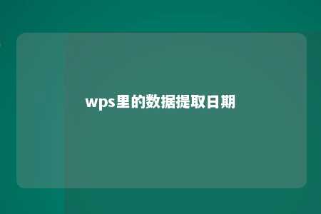 wps里的数据提取日期