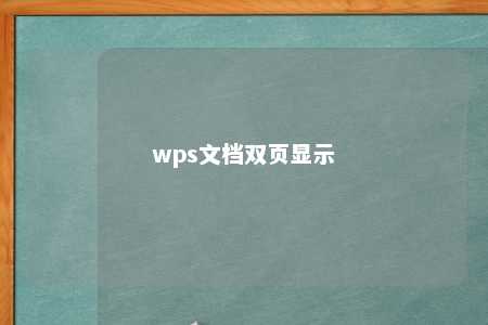 wps文档双页显示 