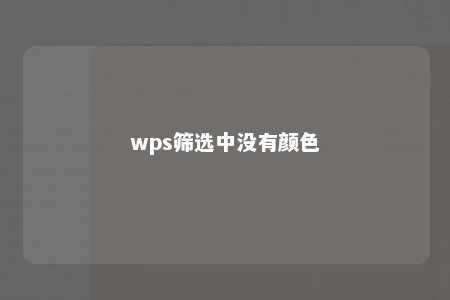 wps筛选中没有颜色