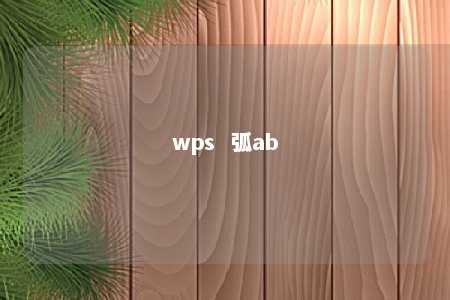 wps  弧ab