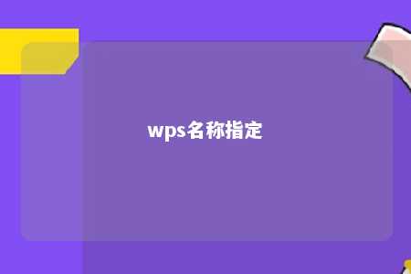 wps名称指定 