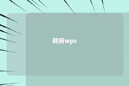 政府wps 