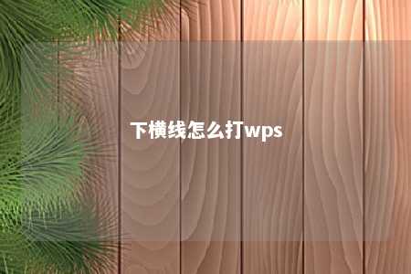 下横线怎么打wps