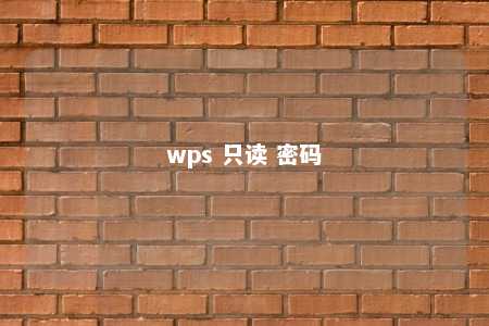 wps 只读 密码 