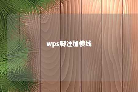 wps脚注加横线 