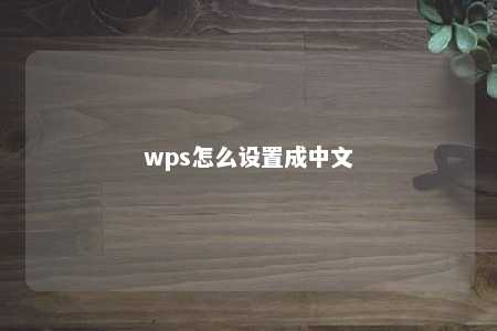 wps怎么设置成中文 