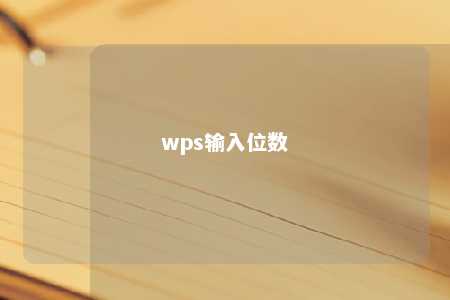 wps输入位数 