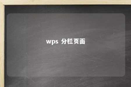 wps 分栏页面 