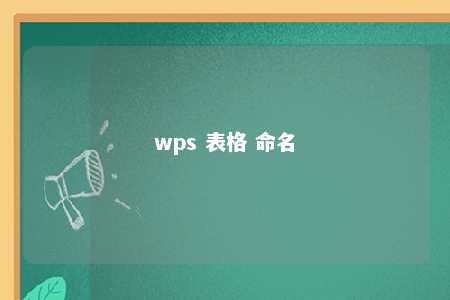 wps 表格 命名 