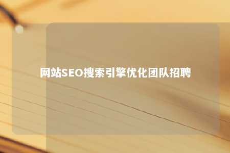 网站SEO搜索引擎优化团队招聘 