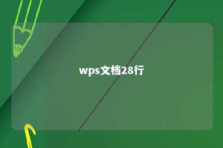 wps文档28行 