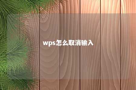 wps怎么取消输入