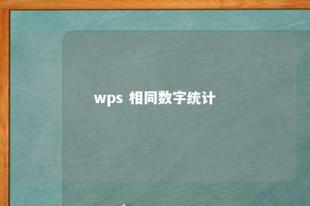 wps 相同数字统计 