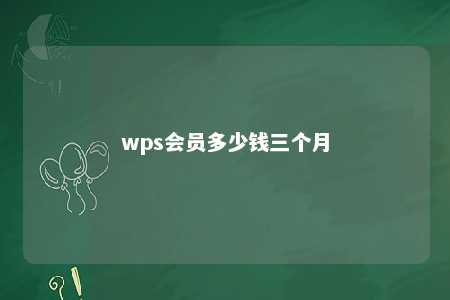 wps会员多少钱三个月 