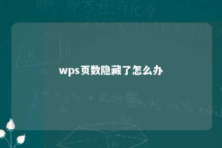 wps页数隐藏了怎么办 