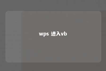 wps 进入vb