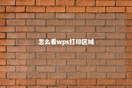 怎么看wps打印区域 