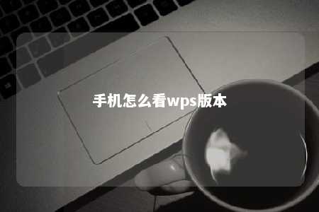 手机怎么看wps版本 