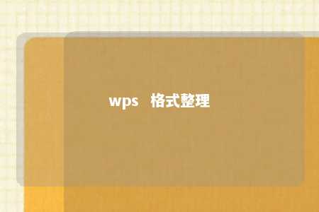 wps  格式整理