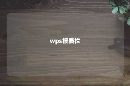 wps报表栏