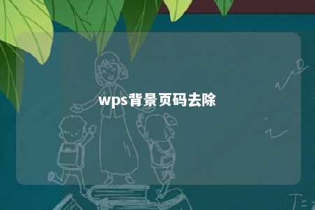 wps背景页码去除