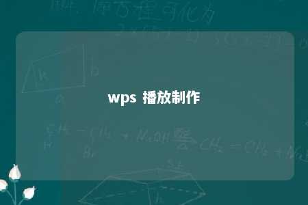 wps 播放制作 