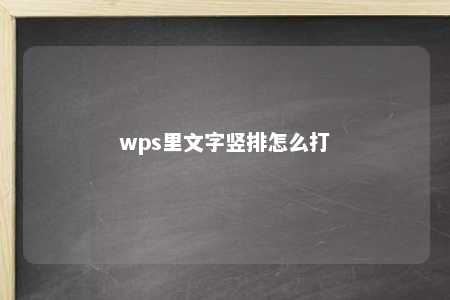 wps里文字竖排怎么打 