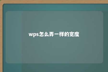 wps怎么弄一样的宽度 