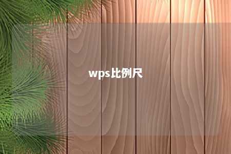 wps比例尺 