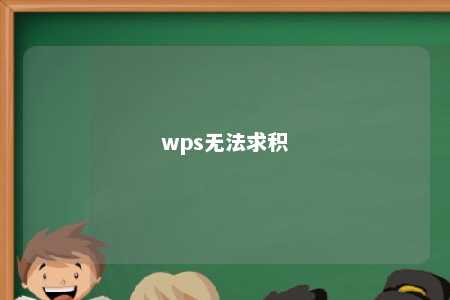 wps无法求积 