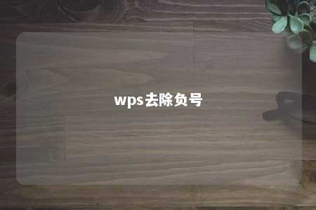 wps去除负号 