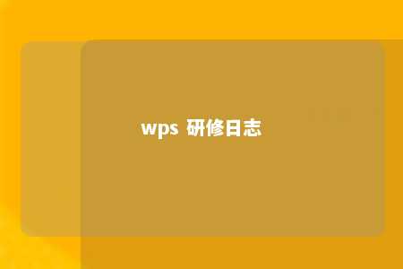 wps 研修日志 