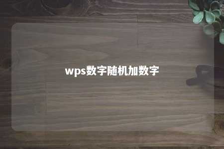 wps数字随机加数字 