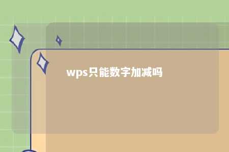 wps只能数字加减吗 