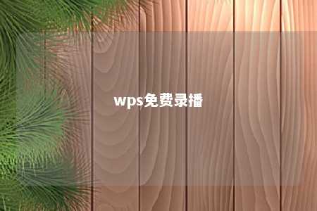 wps免费录播 