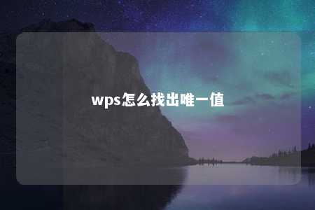 wps怎么找出唯一值 