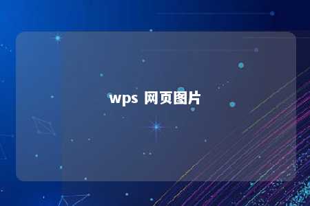 wps 网页图片 