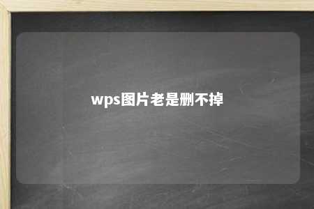 wps图片老是删不掉 